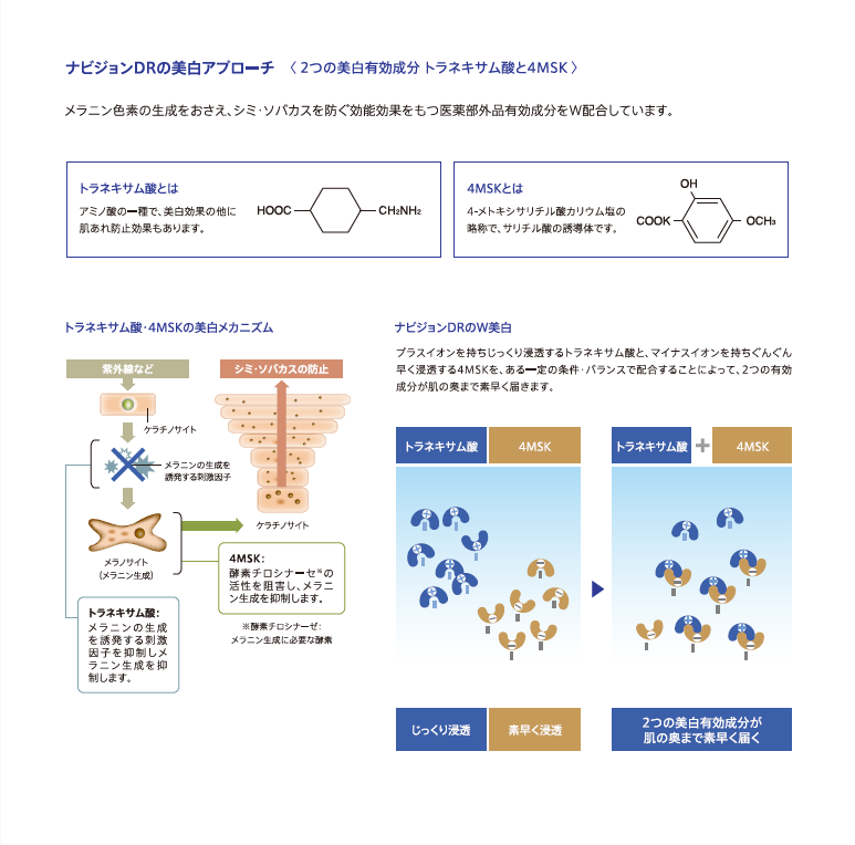 TAホワイト②